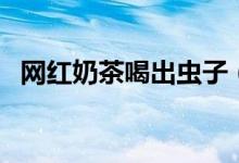 网红奶茶喝出虫子（消费者当场呕吐不止）