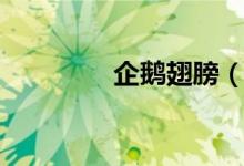 企鹅翅膀（企鹅翅膀作用）