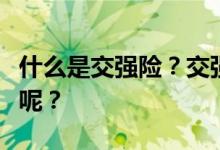 什么是交强险？交强险价格究竟需要缴纳多少呢？