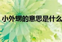 小外甥的意思是什么（小外甥的意思是什么）