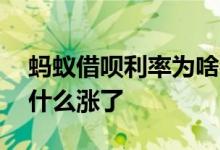 蚂蚁借呗利率为啥都不一样 蚂蚁借呗利率为什么涨了
