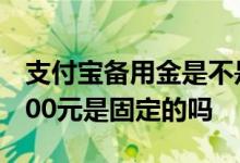支付宝备用金是不是只有500 支付宝备用金500元是固定的吗