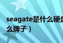 seagate是什么硬盘如何使用（seagate是什么牌子）