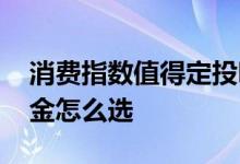 消费指数值得定投吗 只定投一支消费指数基金怎么选