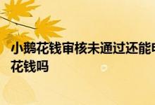 小鹅花钱审核未通过还能申请吗 综合评分不足可以申请小鹅花钱吗