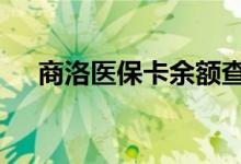 商洛医保卡余额查询 商洛医疗保险查询