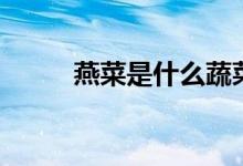 燕菜是什么蔬菜（燕菜是什么菜）