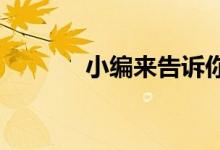 小编来告诉你车险大概多少钱