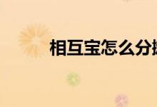 相互宝怎么分摊 相互宝怎么分担