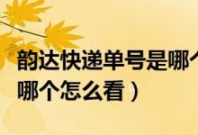 韵达快递单号是哪个在哪看（韵达快递单号是哪个怎么看）