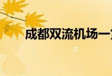 成都双流机场一货机因火警中断起飞