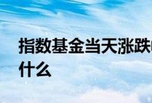 指数基金当天涨跌幅度 指数基金当天涨跌看什么