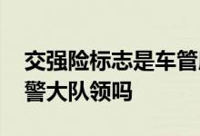 交强险标志是车管所发的吗 交强险标志是交警大队领吗