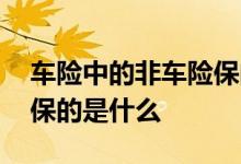 车险中的非车险保的是什么 车险中的非车险保的是什么