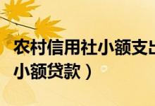 农村信用社小额支出短信通知吗（农村信用社小额贷款）