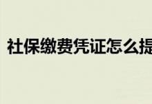 社保缴费凭证怎么提供 社保缴费凭证怎么开
