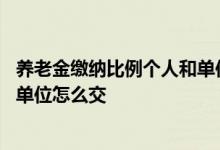 养老金缴纳比例个人和单位的比例是多少 养老金缴纳个人和单位怎么交 