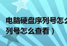 电脑硬盘序列号怎么在电脑查询（电脑硬盘序列号怎么查看）