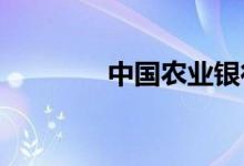 中国农业银行个人网上银行