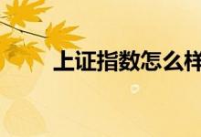 上证指数怎么样 上证指数怎么买入