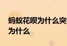 蚂蚁花呗为什么突然关闭 蚂蚁花呗被关掉是为什么