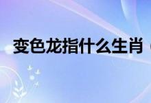 变色龙指什么生肖（变色龙指什么样的人）