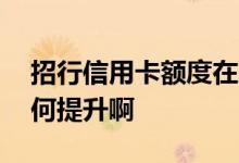招行信用卡额度在哪提升 招行信用卡额度如何提升啊