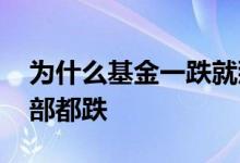 为什么基金一跌就那么惨 为什么基金一跌全部都跌