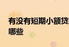 有没有短期小额贷款 小额短期贷款的口子有哪些