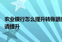 农业银行怎么提升转账额度 农业银行信用卡信用额度如何申请提升