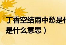 丁香空结雨中愁是什么意思（丁香空结雨中愁是什么意思）