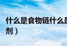 什么是食物链什么是食物网（什么是食物干燥剂）