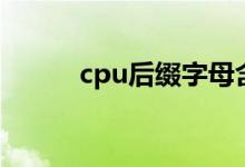 cpu后缀字母含义（cpu的含义）