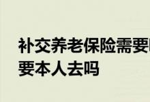补交养老保险需要哪些材料 补交养老保险需要本人去吗 