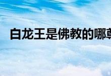 白龙王是佛教的哪尊神（白龙王是什么鱼）