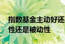 指数基金主动好还是被动好 指数基金是主动性还是被动性