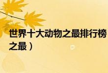 世界十大动物之最排行榜（动物的十大世界纪录动物的世界之最）