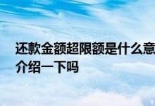 还款金额超限额是什么意思 还款次数超限是什么意思 可以介绍一下吗