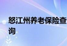 怒江州养老保险查询 怒江州个人养老保险查询