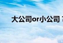 大公司or小公司？哪家车险便宜好用？