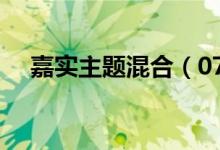 嘉实主题混合（070010）基金投资分析