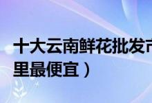 十大云南鲜花批发市场（云南花卉批发市场哪里最便宜）