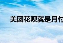 美团花呗就是月付吗 美团月付是花呗吗