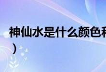 神仙水是什么颜色和气味（神仙水是什么东西）