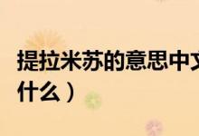 提拉米苏的意思中文翻译（提拉米苏的意思是什么）