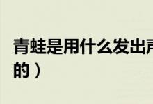 青蛙是用什么发出声音的（青蛙是用什么呼吸的）