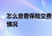 怎么查看保险交费清单 怎样查保险单交费的情况
