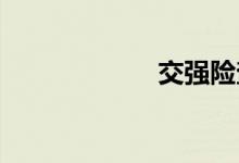 交强险查询的技巧