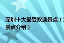 深圳十大最受欢迎景点（深圳热门景点排行榜深圳人气最高景点介绍）