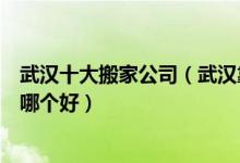 武汉十大搬家公司（武汉靠谱的搬家公司推荐武汉搬家公司哪个好）